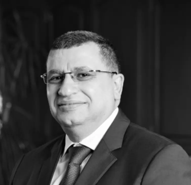 الرئيس التنفيذي