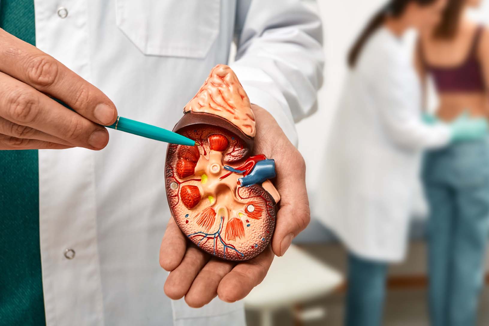 امراض وزرع الكلى